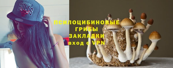 амф Туринск