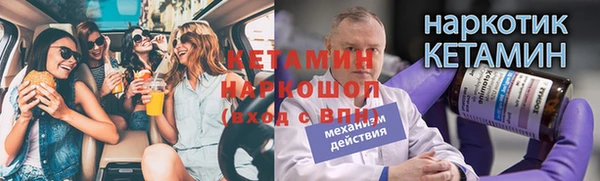 дживик Богданович