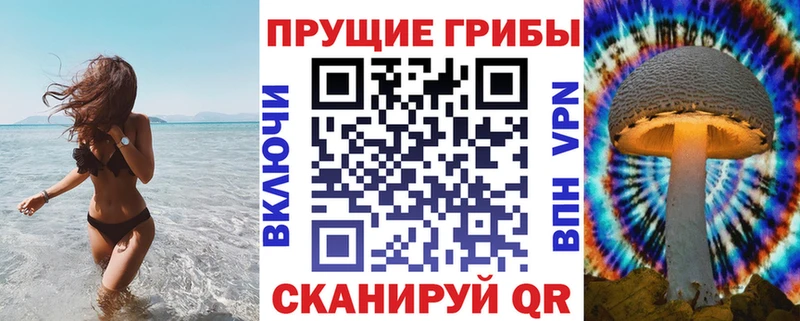Купить где  Щигры  Псилоцибиновые грибы мухоморы 