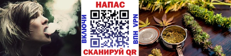 Бошки Шишки семена  Купить закладки  Щигры 